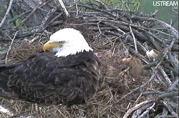 ScreenHunter_02 Mar. 31 11.17.jpg